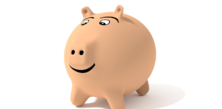 pigs 1627461165